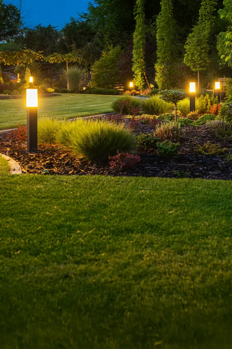 Landscape Lighting