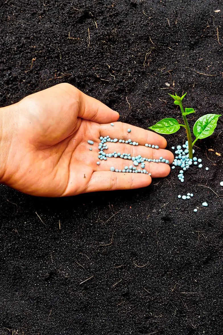 100% Organic Fertilizer & Core Aeration