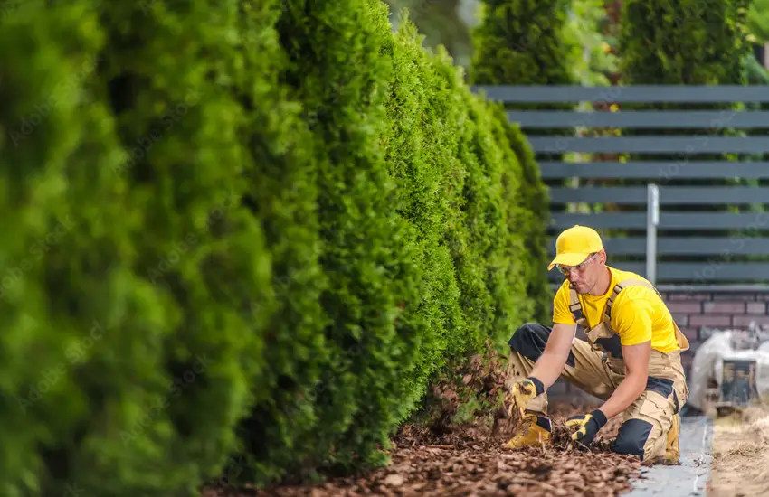 Disease Control Services